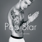 Pop Star : A Gay XXX Parody
