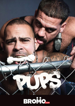 Pups – Image 1