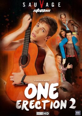 One Erection 2 – Image 1