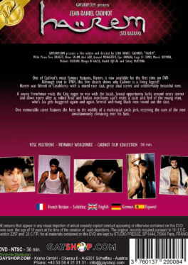 Harem (Sex Bazaar) – Image 2