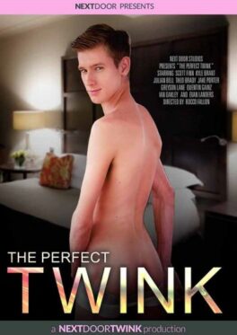 The Perfect Twink – Image 1