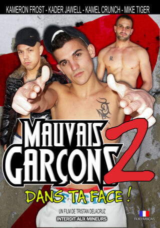 Mauvais Garçons 2