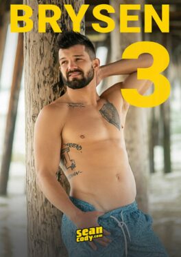 Brysen 3