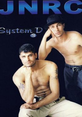 System D #3